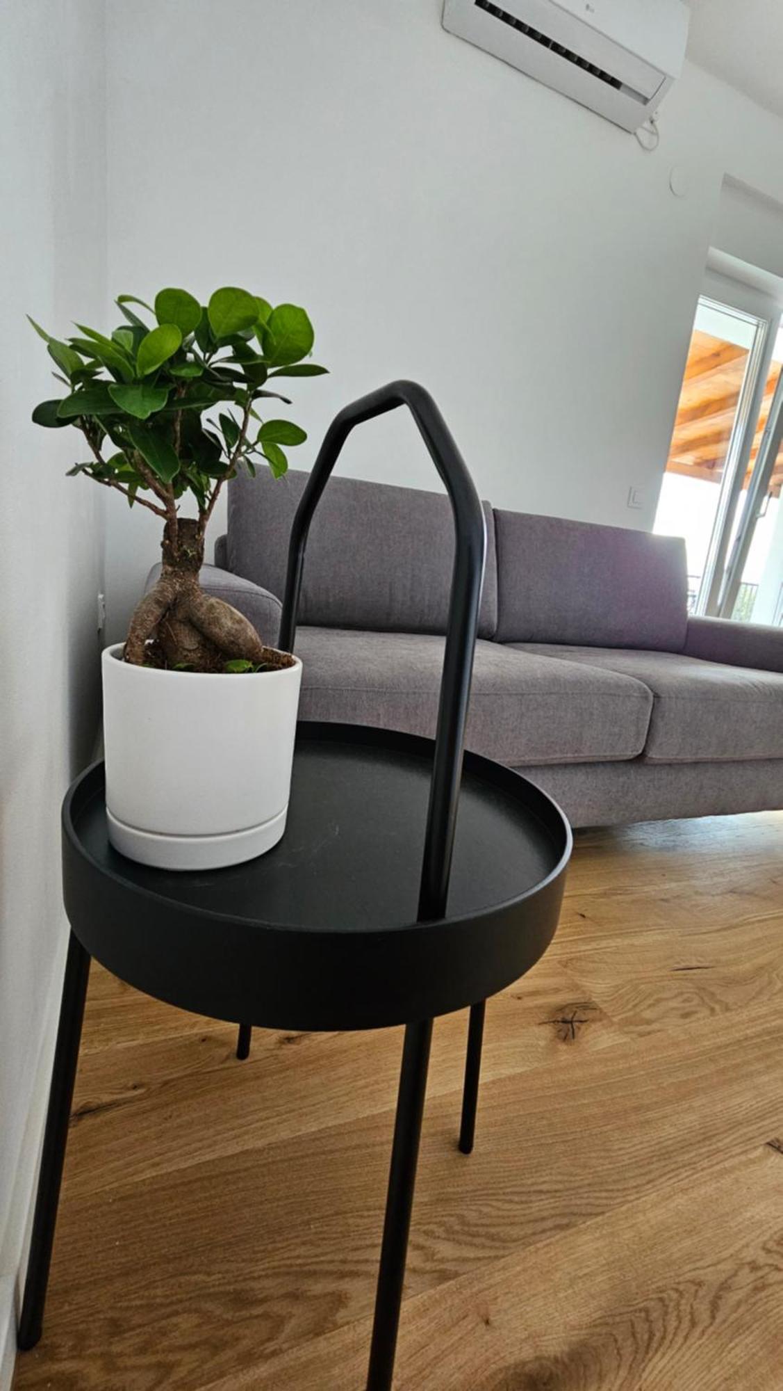Jonke Apartament Mandre